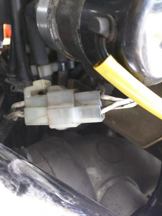 Stator Plugs New.jpg