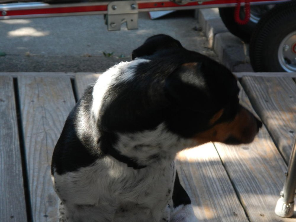 2018-07-07 08.49.35.jpg