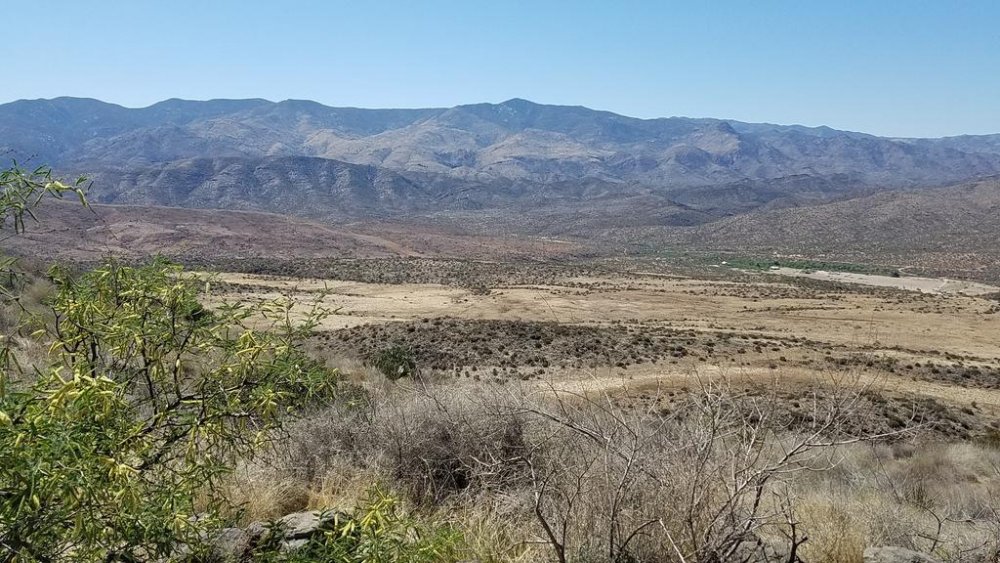 20180414_142120.jpg
