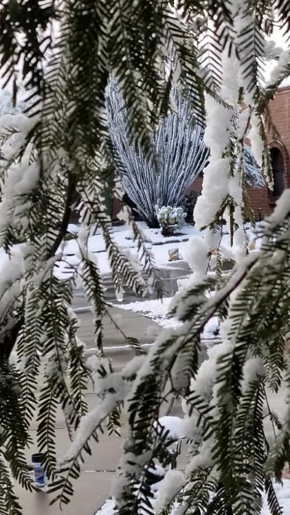 20190102_081044.jpg