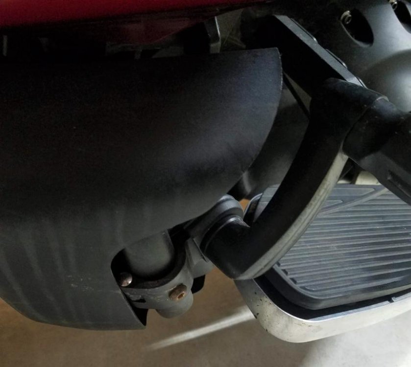 20190420_063141.jpg