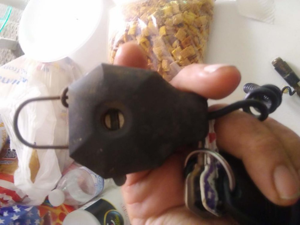 20190625_101504.jpg