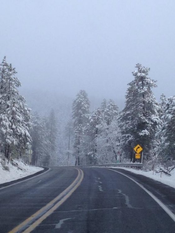 Road into Pine, AZ.jpg