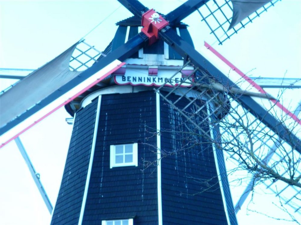 P1000485 (Medium).JPG