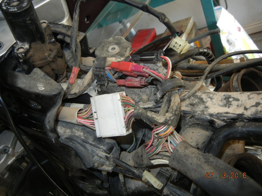 reunion venture 020.JPG