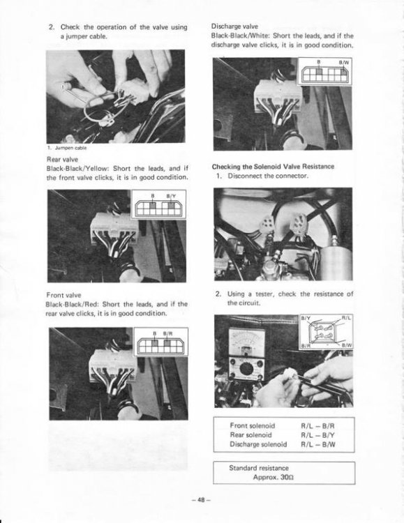 IMG (3) (Large).jpg