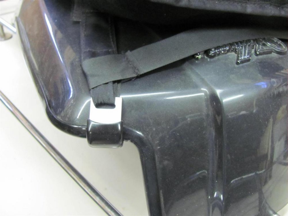 IMG_1784 (Large).jpg