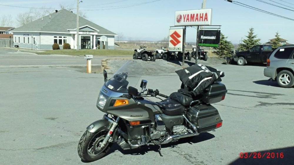 GEDV0007 (4)small.jpg