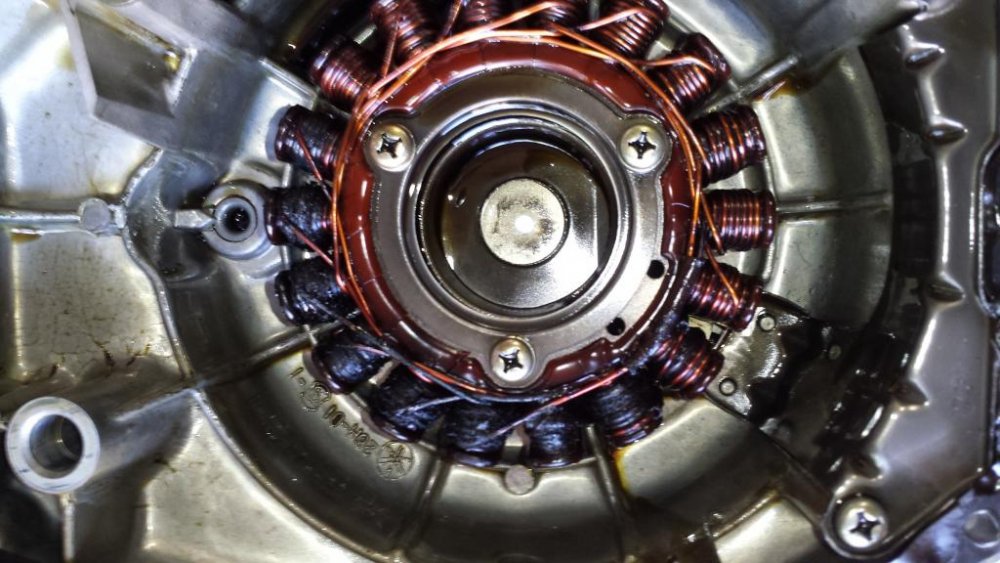 Burnt stator.jpg