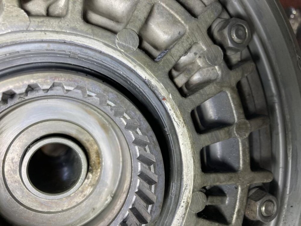 IMG_0036 (Large).jpg