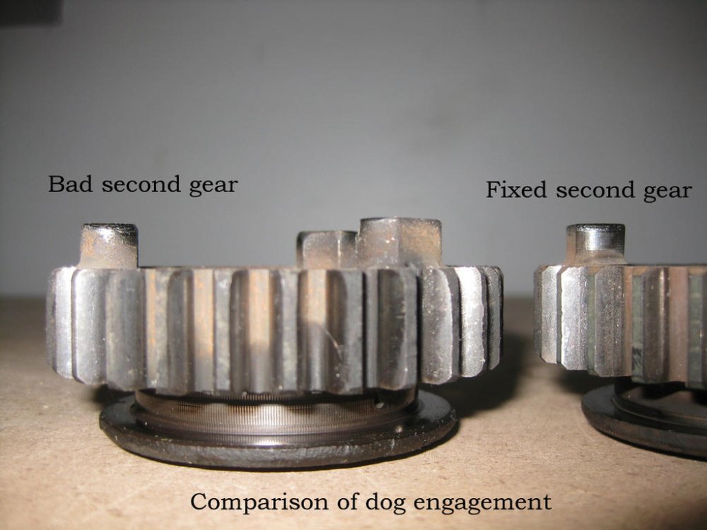 comparison of dog engagement.jpg