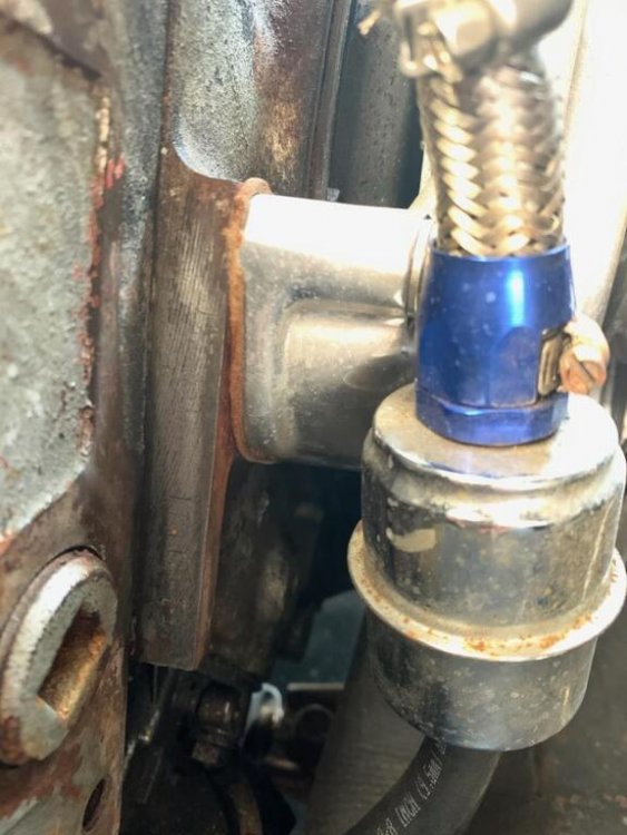 Lafayette vette numbers.jpg