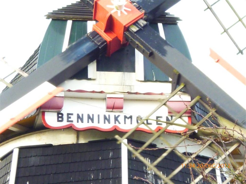 P1000479 (Medium).JPG