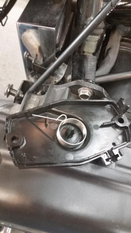 20160503_110101 (576x1024).jpg