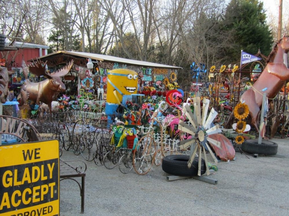 IMG_0042 (1024x768).jpg