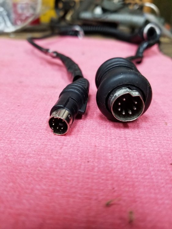 2014 HARLEY CORD (3).jpg