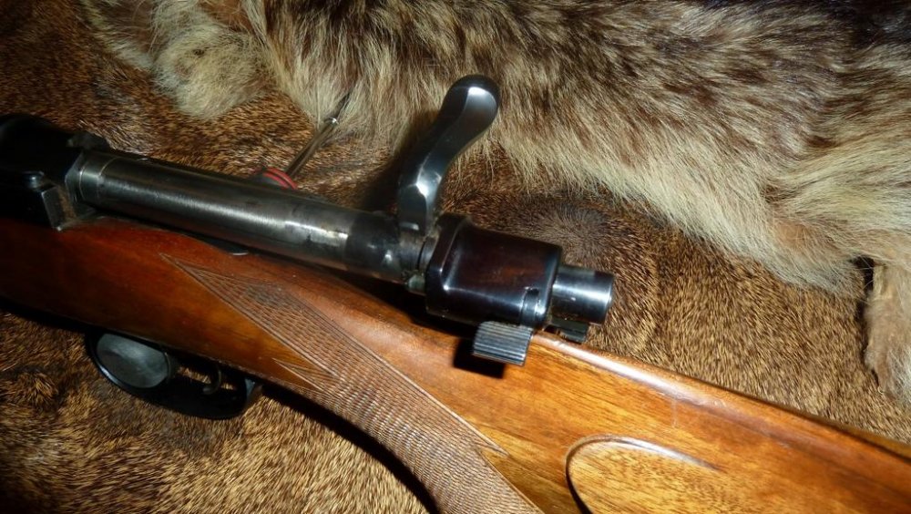 2016-10-02 12.23.40 (Medium).jpg