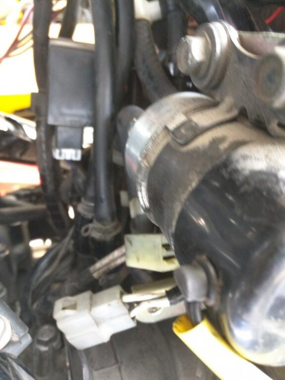 Stator Plugs Apart.jpg