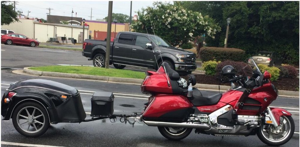 BEFORE WITH GOLDWING.jpg