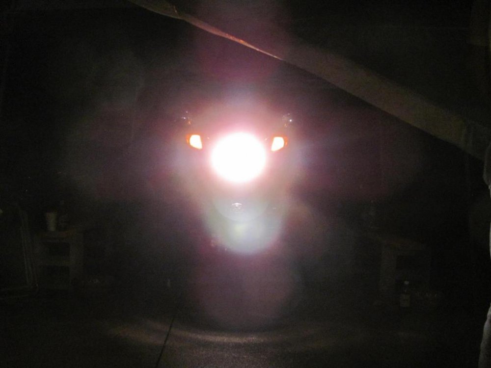 IMG_1551 (Large).jpg