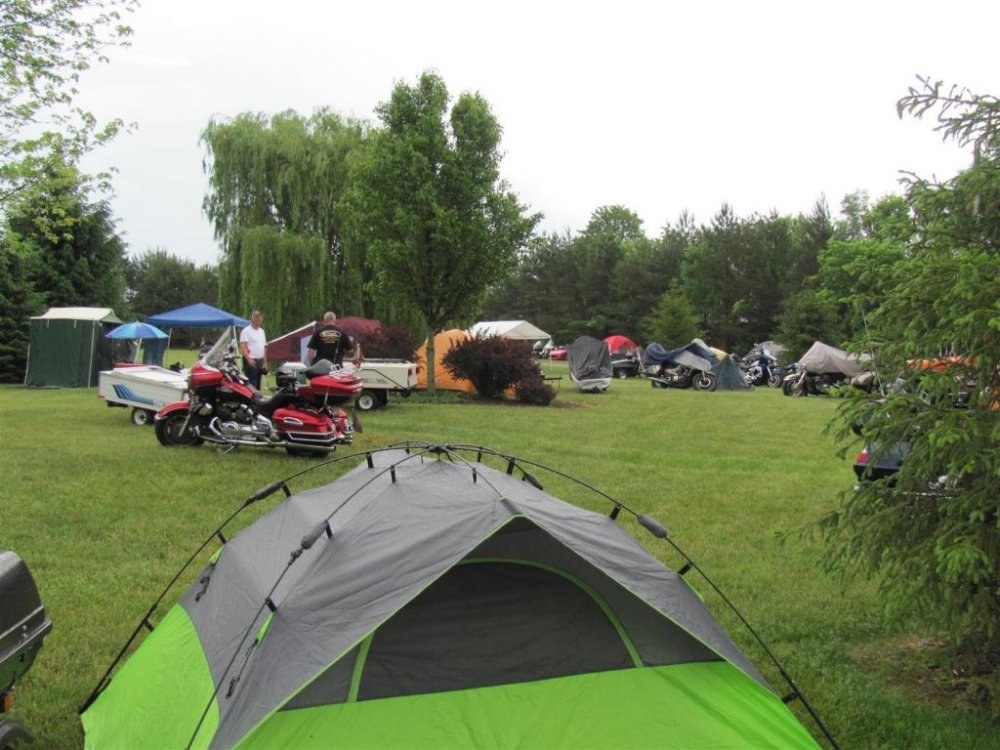 IMG_1544 (Large).jpg