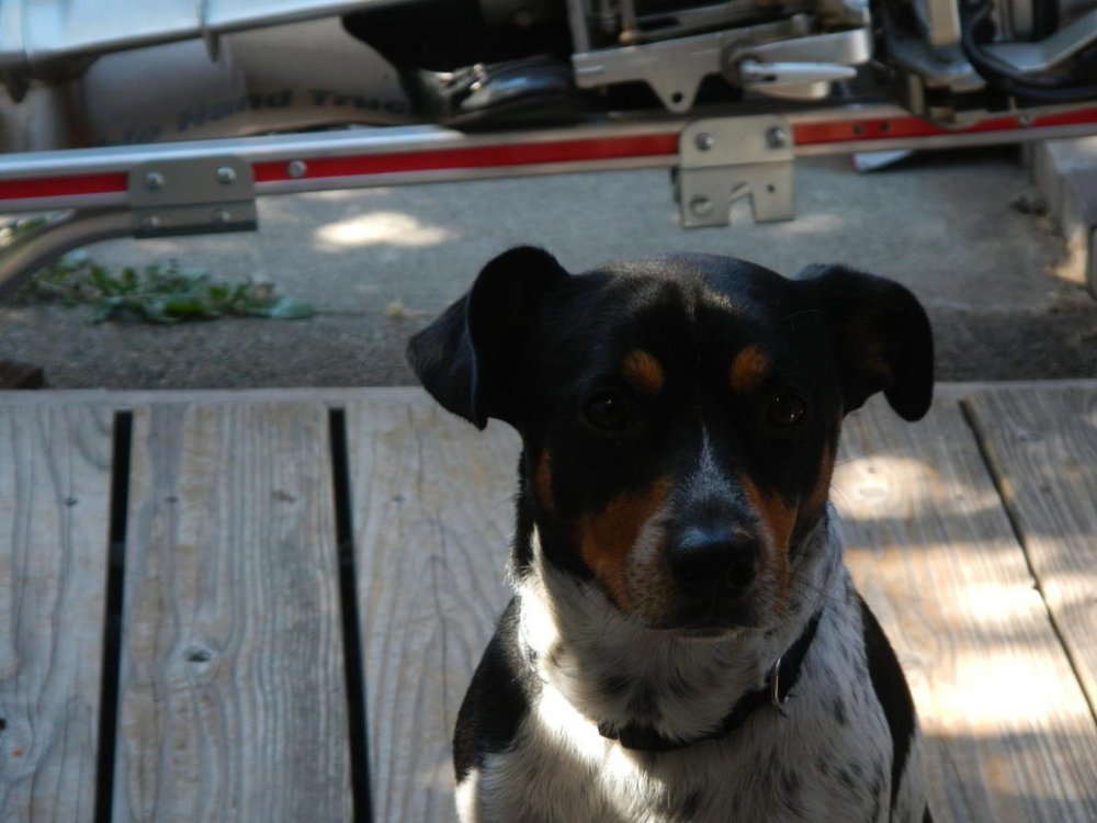 2018-07-07 08.50.21.jpg