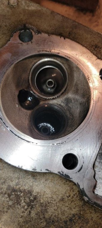 Polaris head clean.jpg